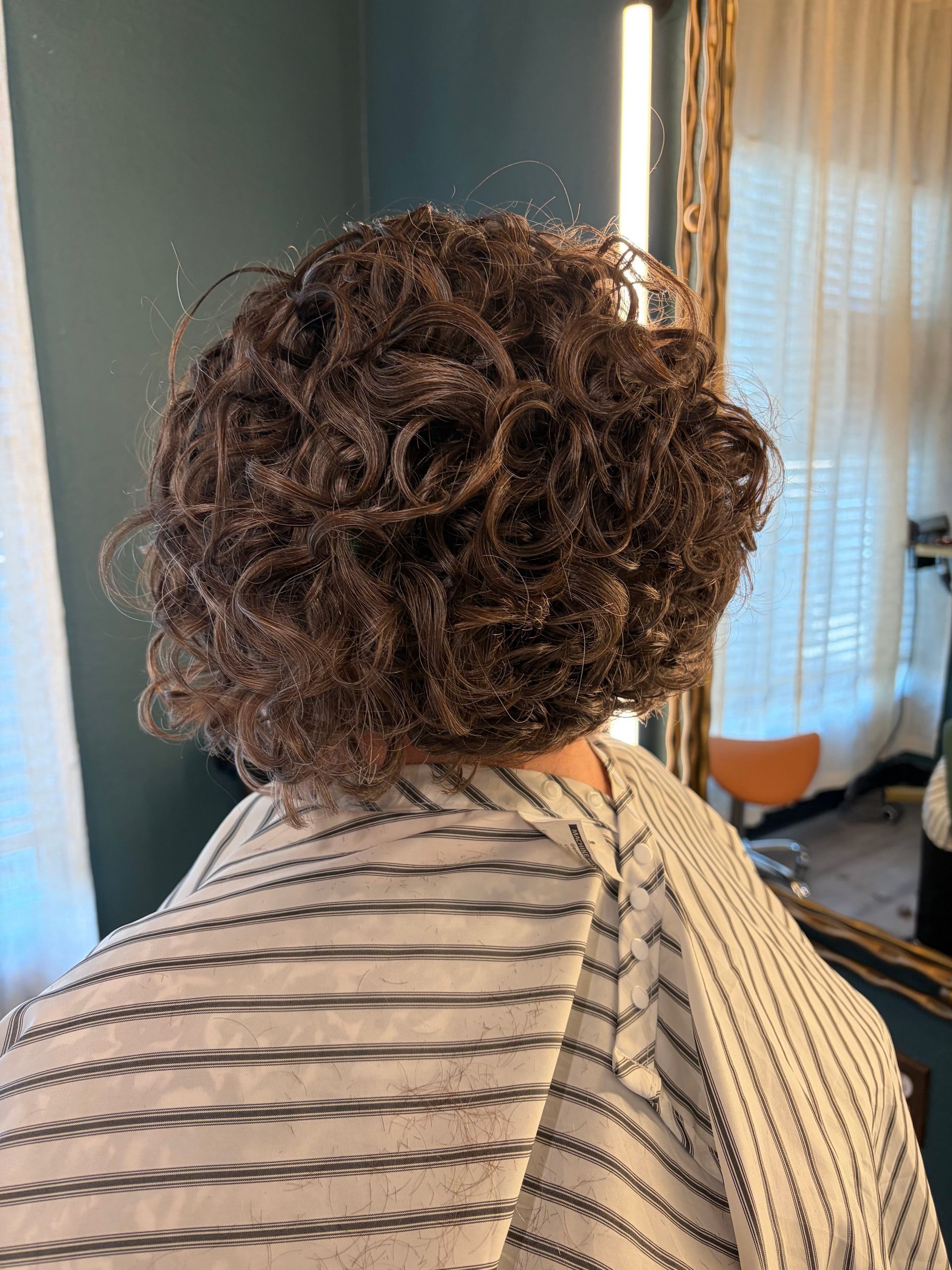 Back view of short, curly brown hair styled in a salon, worn by a person in a striped cape.