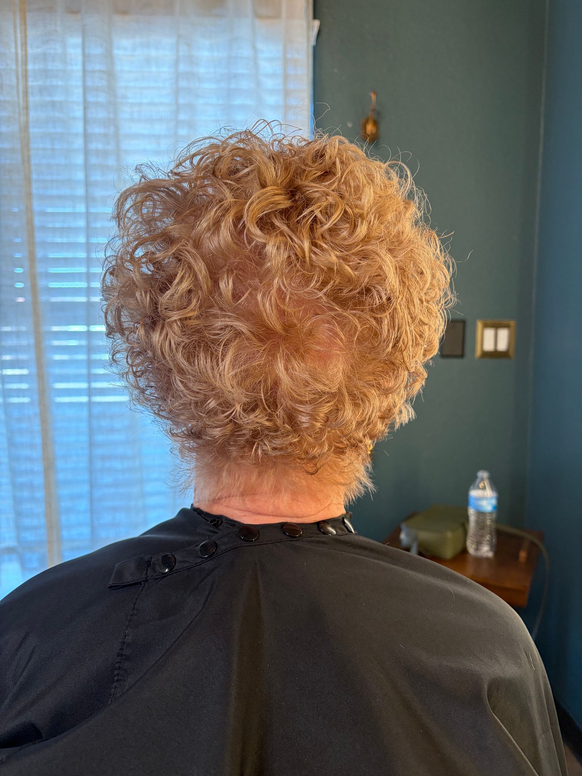Back view of a person with short, curly, light brown hair wearing a black salon cape in a room with a blue wall.
