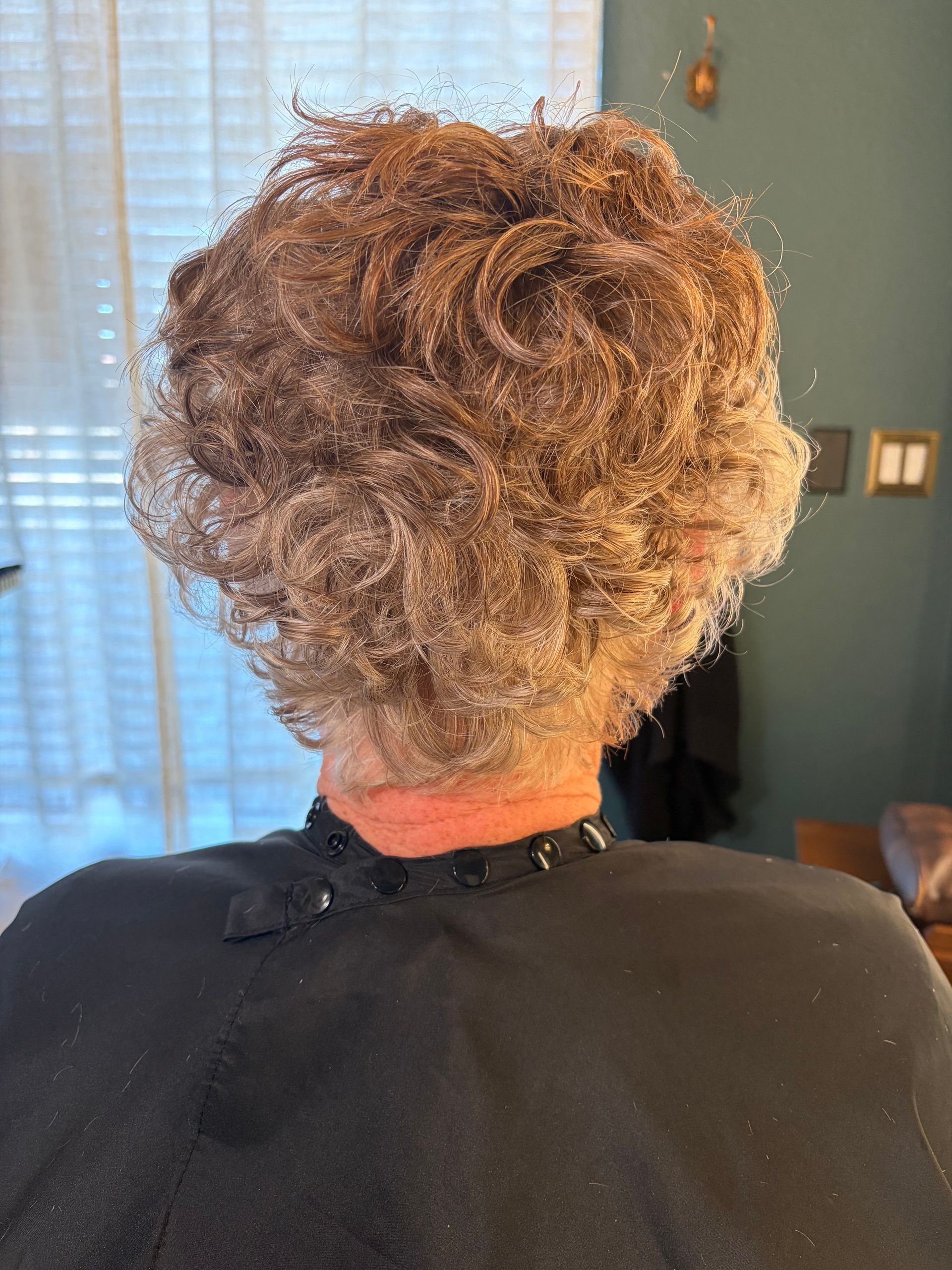 Back view of a person with short, curly, light brown hair wearing a black salon cape.