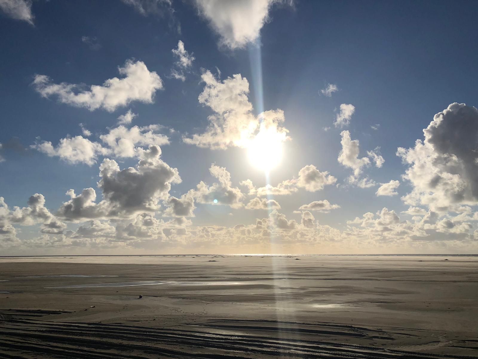 Psychologische impact miskraam onderzoek en begeleiding