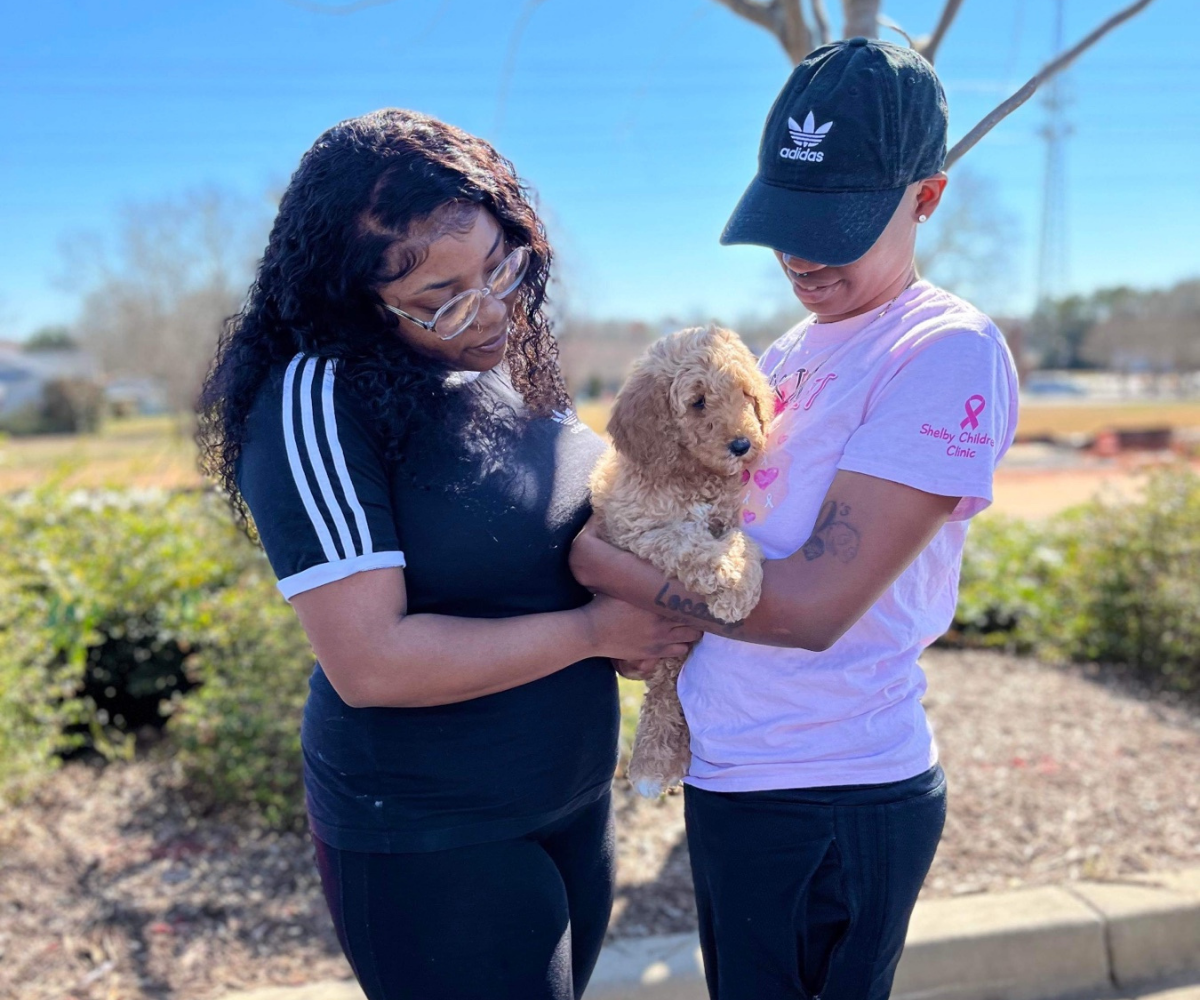 Home of Doodles Last Litter Chloe Simpsonville, South Carolina, Greenville, East Coast, Standard Poodles, Red Standard Poodle, AKC Available Puppies, Health Tested, Genetic Tested, Healthy, Breeder