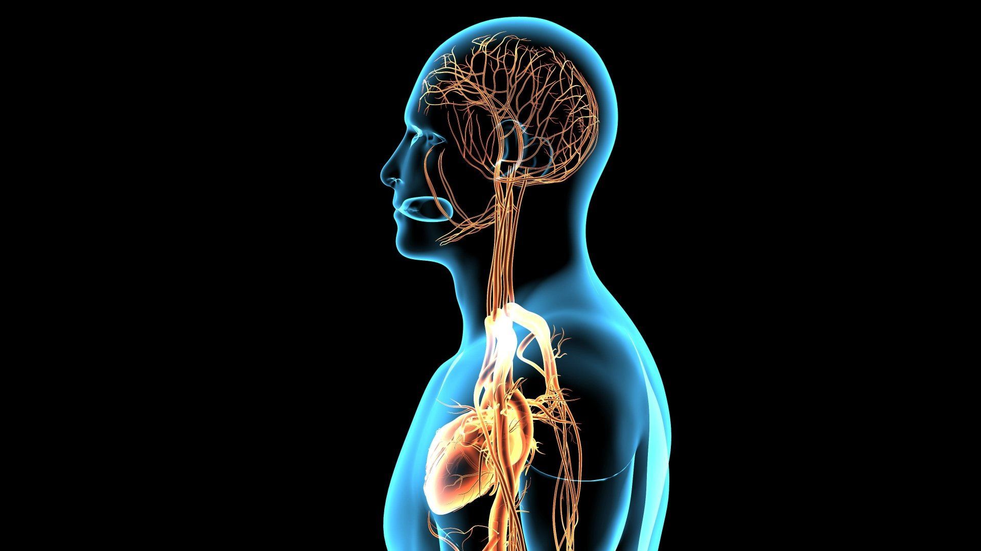 Médico para cirurgia de nervos em SP