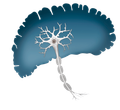 neurocirurgião de SP neurocirurgião de SP
