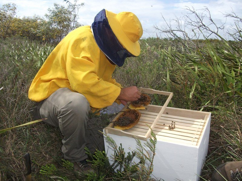 Sandula Conservation | Snake Education & Catching