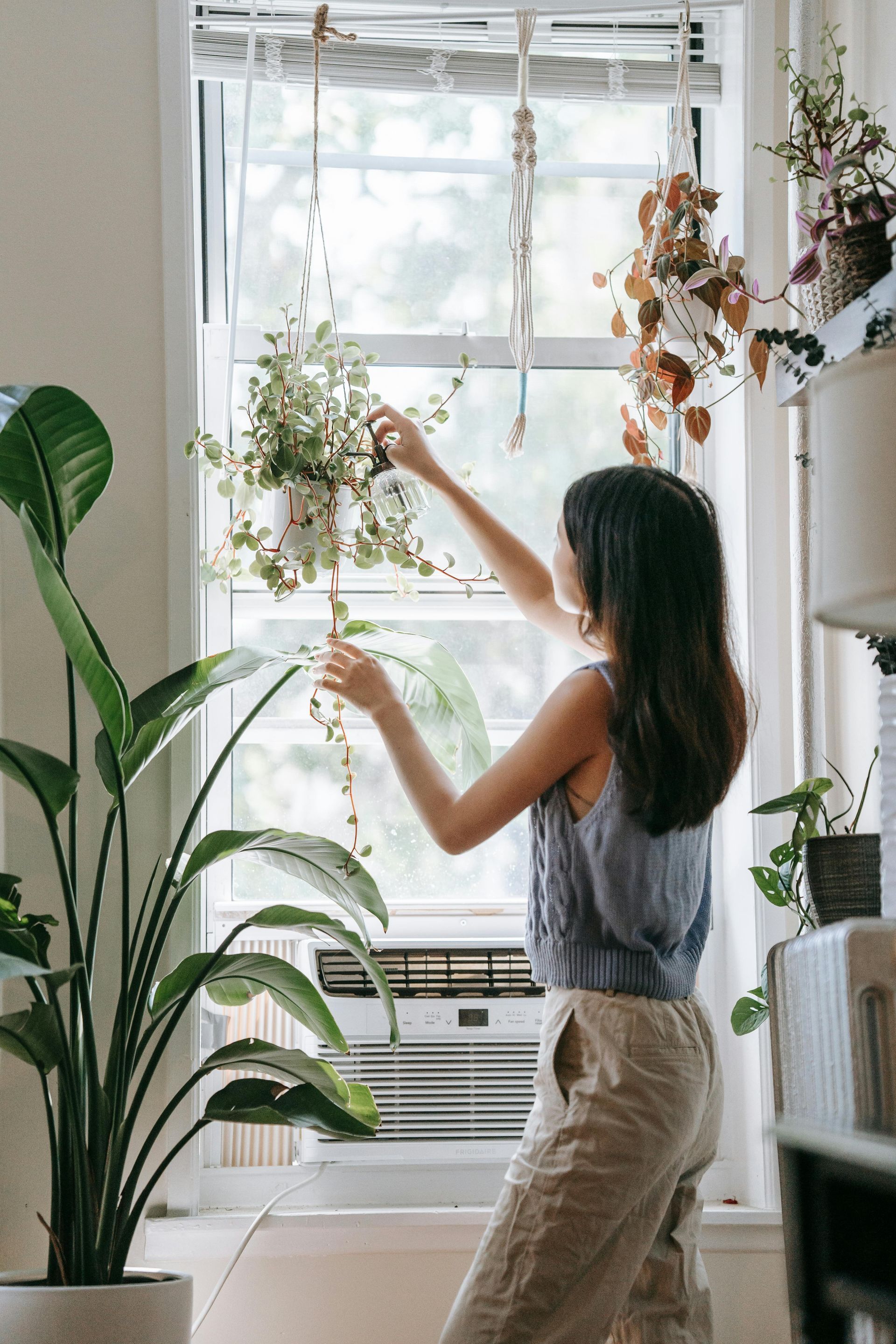 Woman tending to hanging plant near window, natural light.