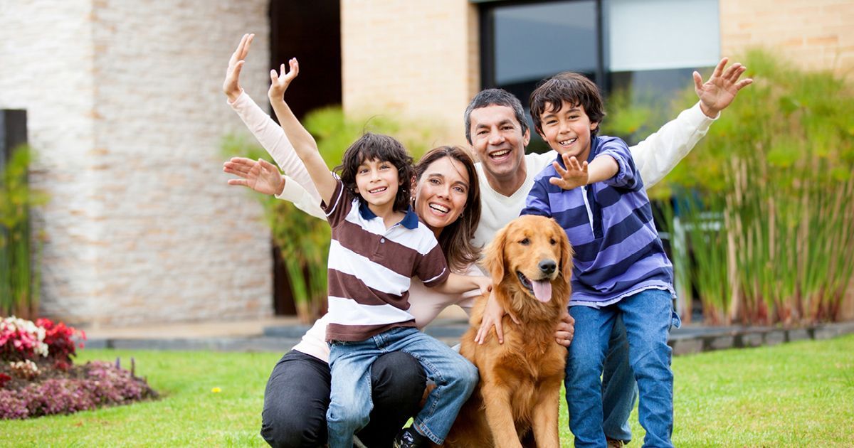 Build your own home as an owner-builder with Build Buddy