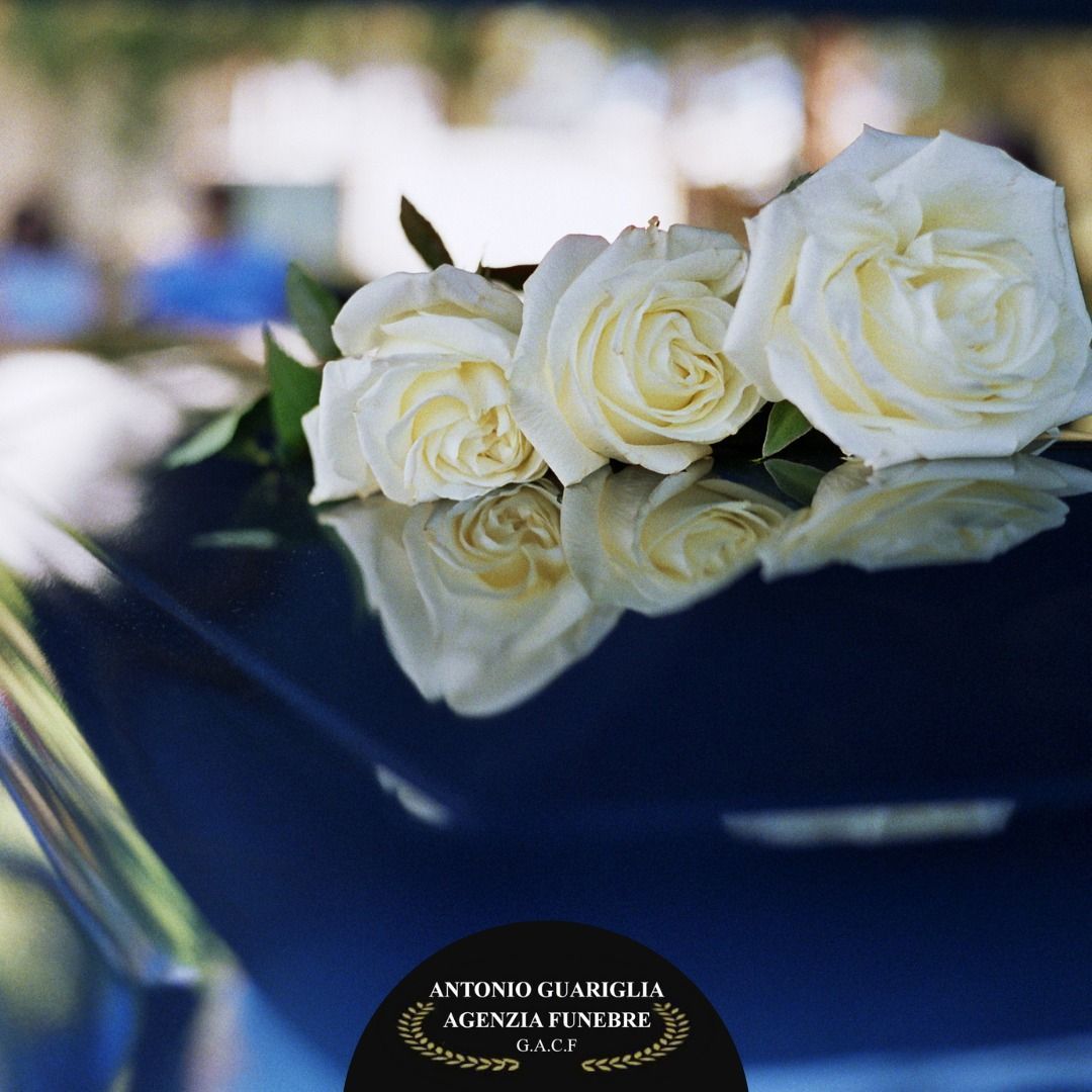 Rose bianche su una superficie scura, forse un carro funebre, con sfondo sfocato. Ambientazione funebre.