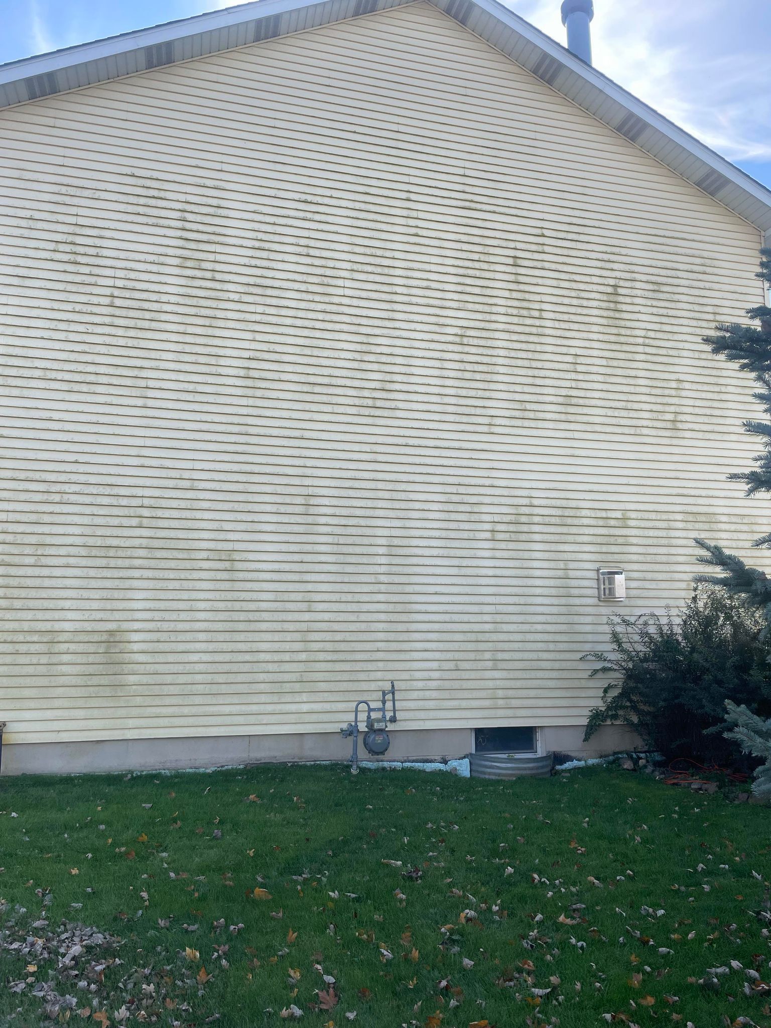 Vinyl Siding Cleaning
