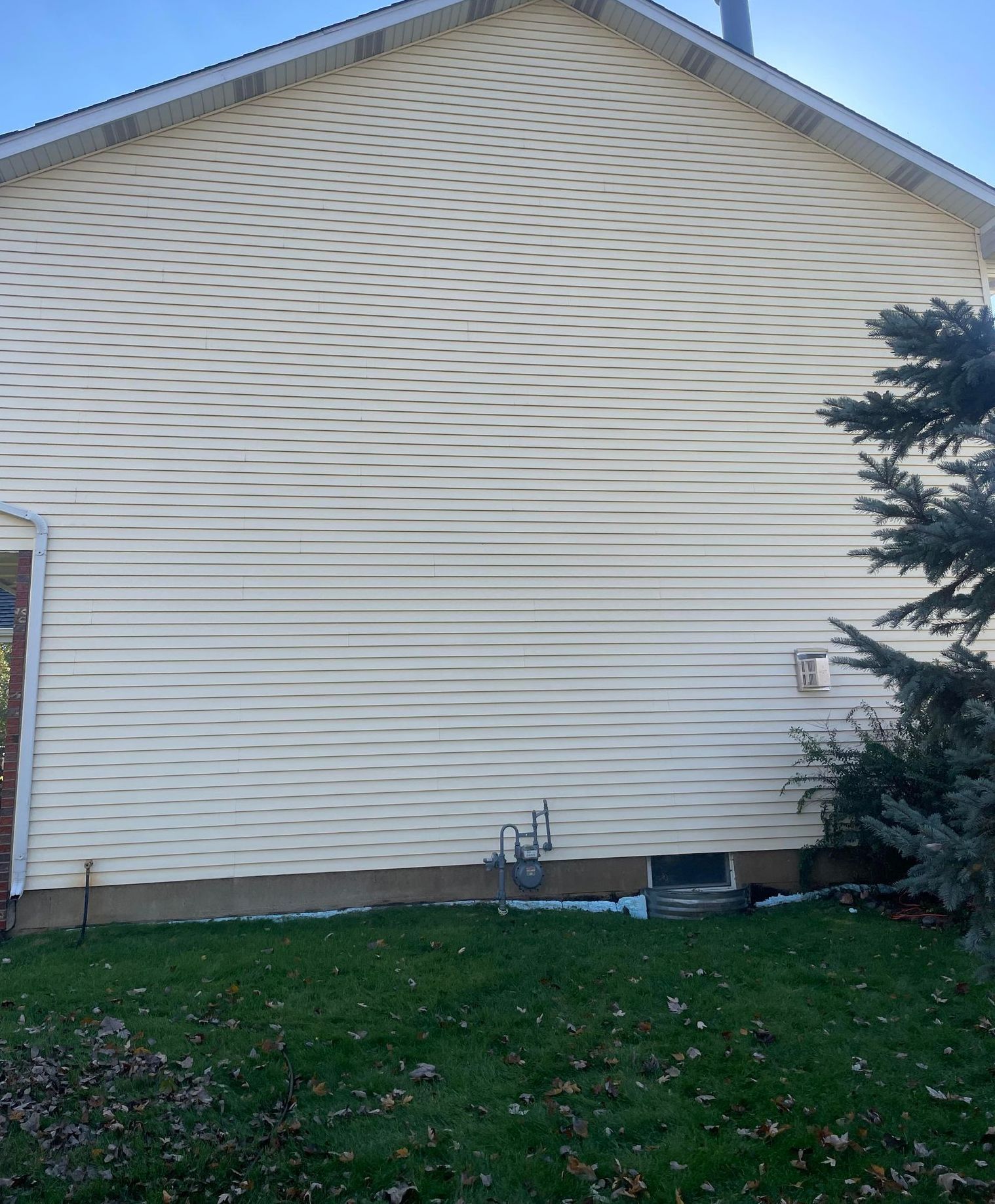 Vinyl Siding Cleaning Service