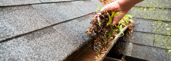 gutter cleaning practices