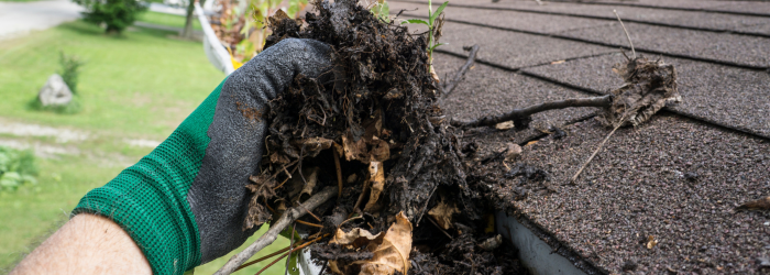 Gutter cleaning in north west indiana
