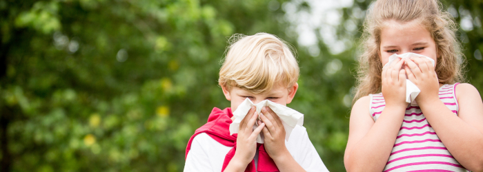 prevent allergies
