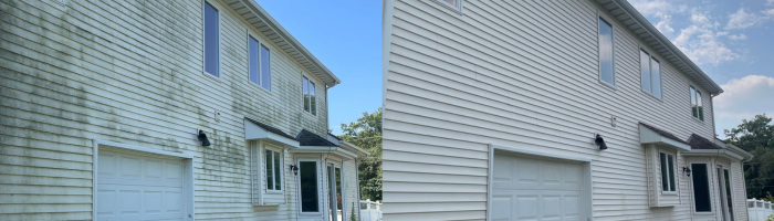 Professional House Washing Guide