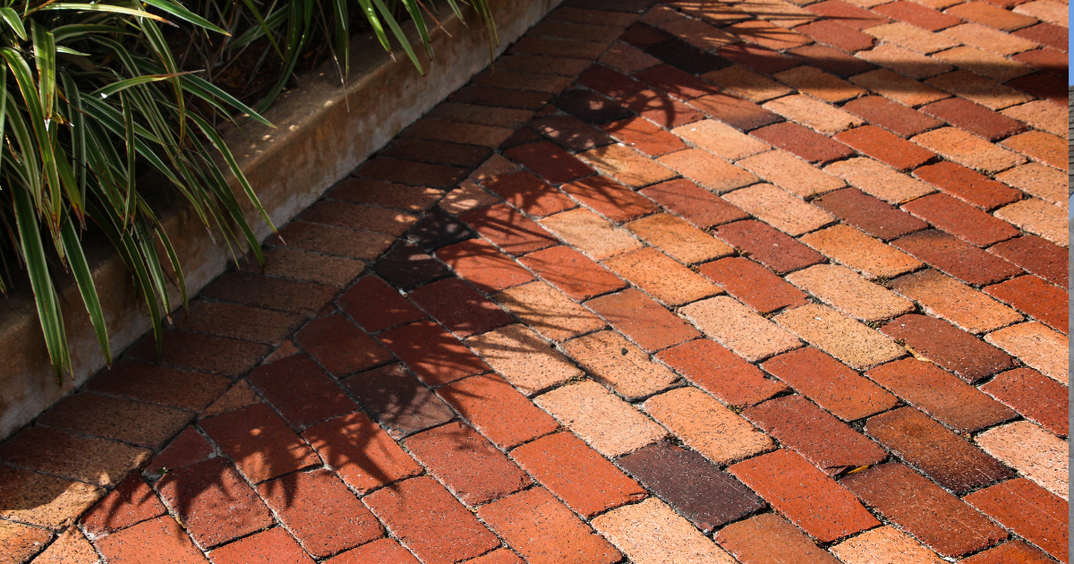 A brick walkway with a plant in the background