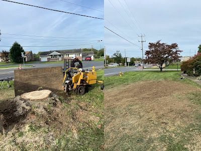 A split-view image showing a yellow stump grinder working on a large tree stump and the cleared, grassed area afterward.
