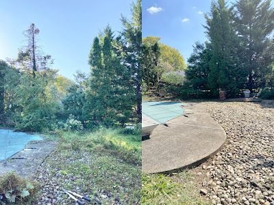 A side-by-side comparison of a backyard pool area before and after overgrown weeds and brush were cleared.