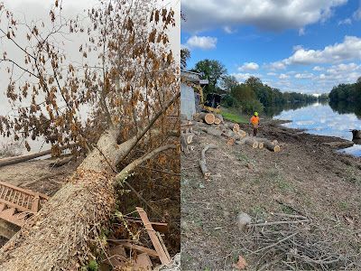 A side-by-side comparison of a fallen tree next to a fence and a cleared riverbank with construction machinery.
