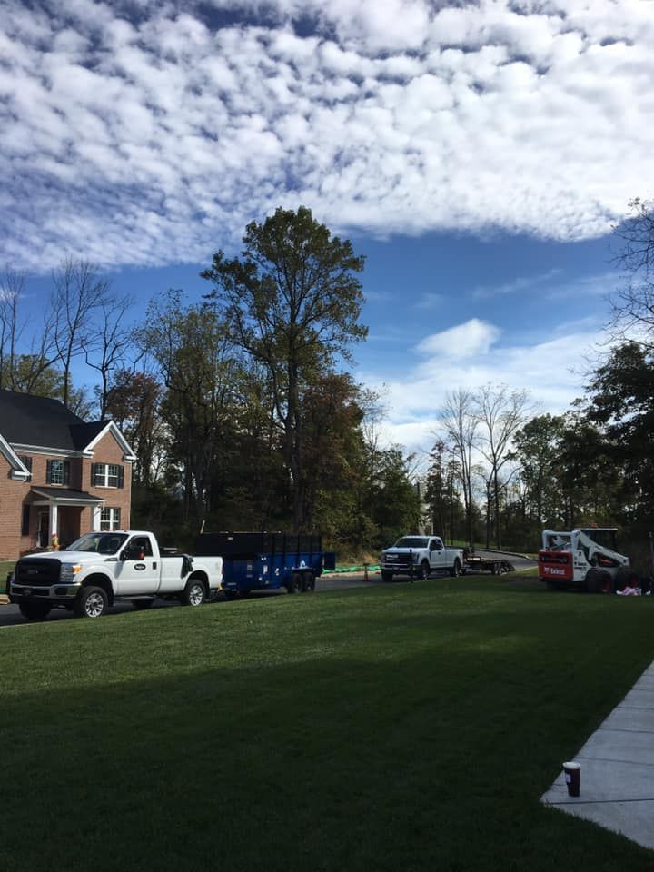White trucks and a blue dumpster trailer parked on a lawn in front of a house, with a skid-steer loader nearby.