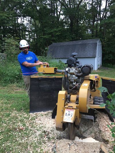 A worker in a hard hat operates a yellow stump grinder in a grassy yard near a small shed.