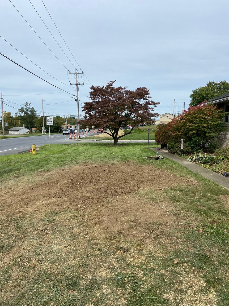 A person in a black jacket and beanie operates a yellow stump grinder in a grassy yard, surrounded by wood chips.