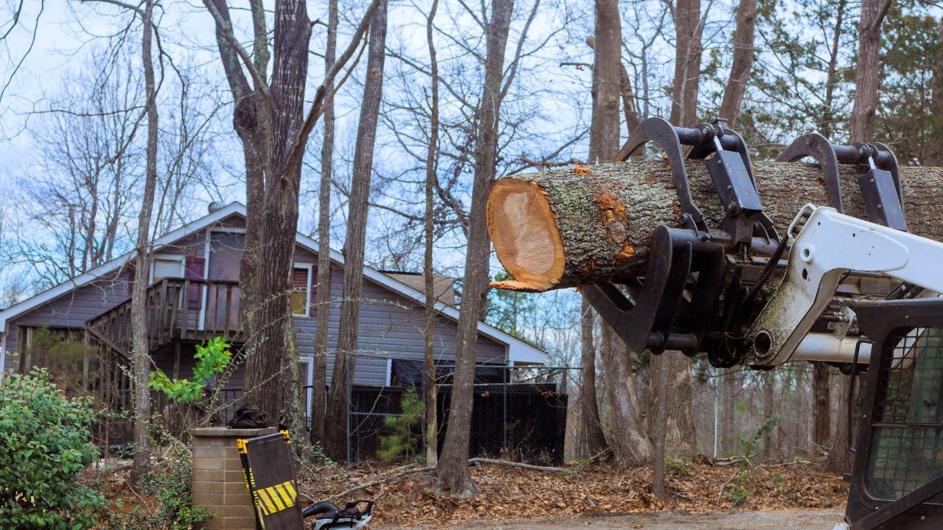 A heavy-duty grapple attachment on construction equipment lifts a large log in a wooded residential yard.