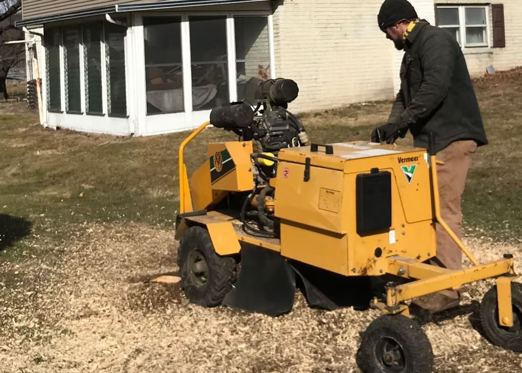 A person operates a yellow stump grinder on a residential lawn covered in wood chips, with a house in the background.