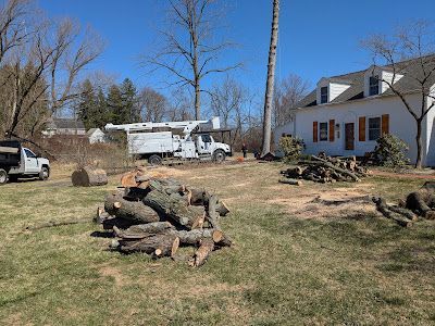 A white house sits near a yard with piles of cut logs, a bucket truck, and a white pickup truck on a sunny day.