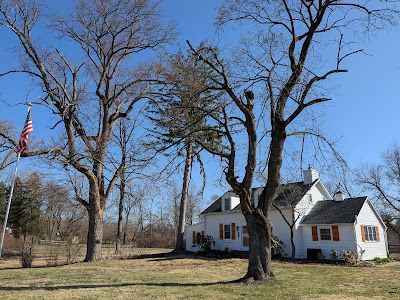 A white cottage with a dark roof sits on a grassy lawn under a clear blue sky, framed by tall, leafless trees and a flag.