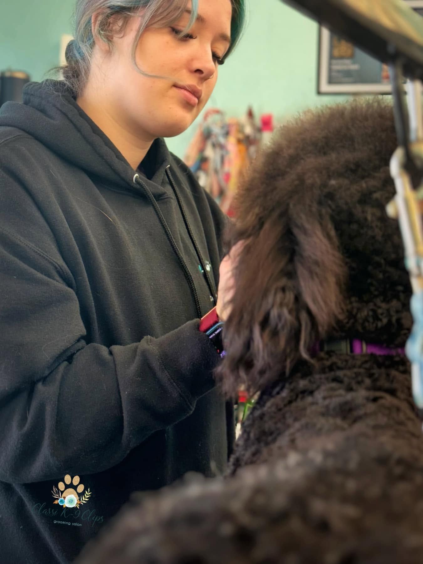 Stylist in a black hoodie grooming a fluffy black dog indoors