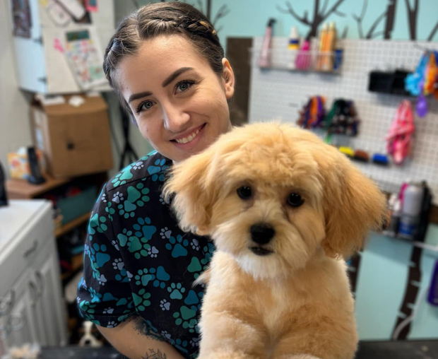 Woman in a floral top holding a fluffy tan puppy in a grooming salon