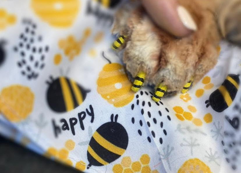 Hand holding a furry paw with yellow-and-black bee nail art over a bee-patterned cloth with “HAPPY” text