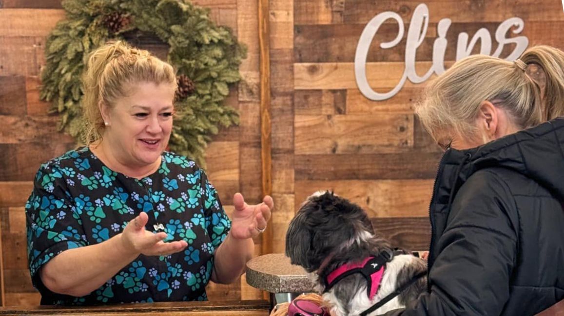 Two women chatting at a counter with a small dog in a pink harness, under a wood wall with “Clips” sign.
