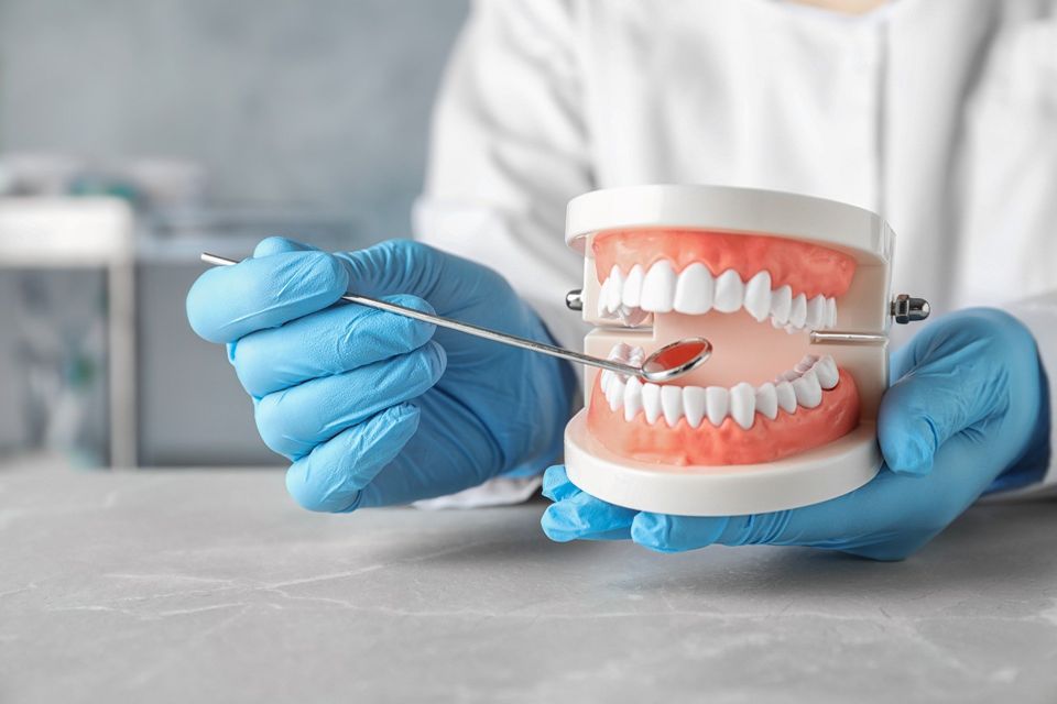 Mani guantate che reggono un modello dentale e passano il filo interdentale tra i denti bianchi su un tavolo