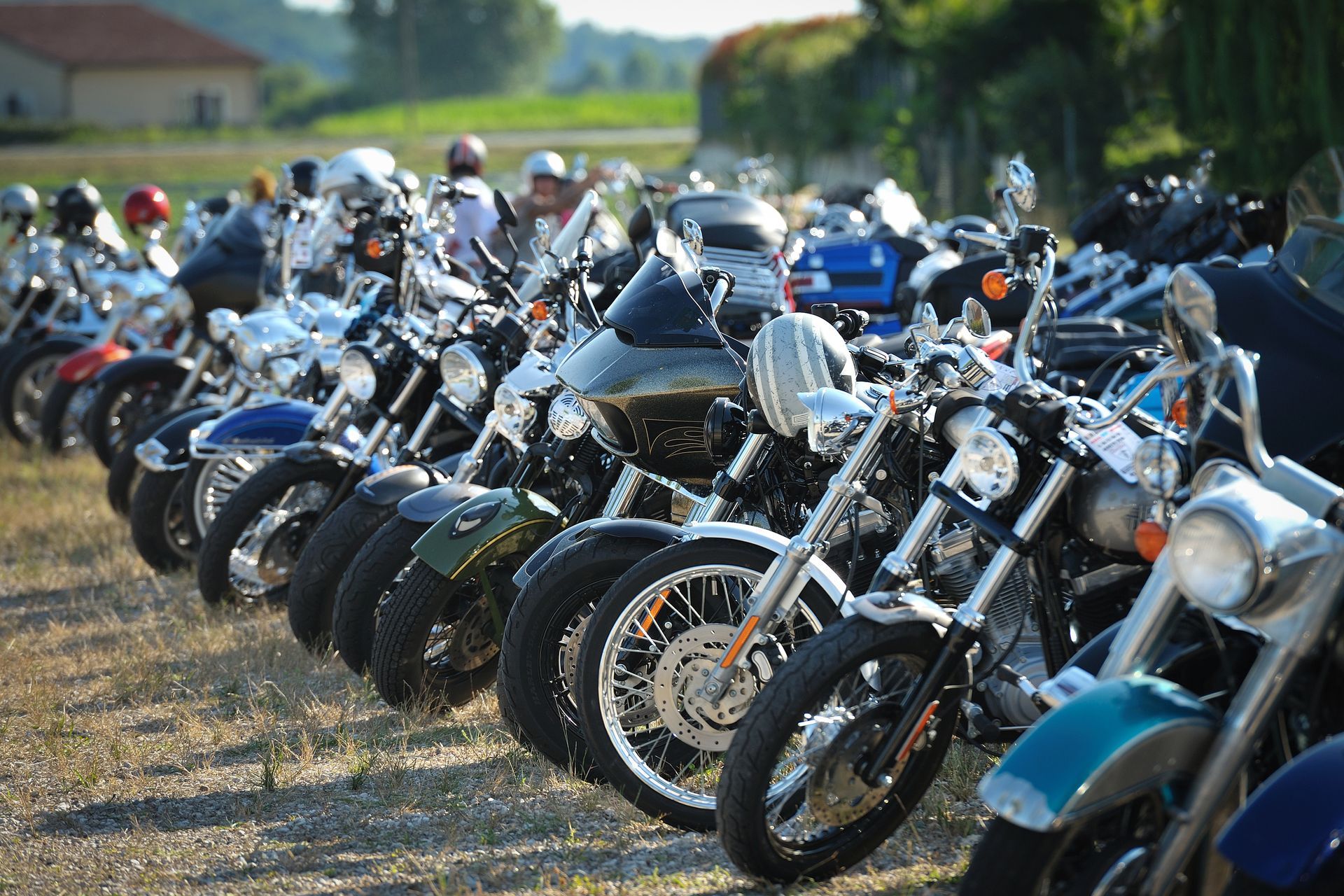 Row of parked motorcycles lined up on a grassy field in sunlight