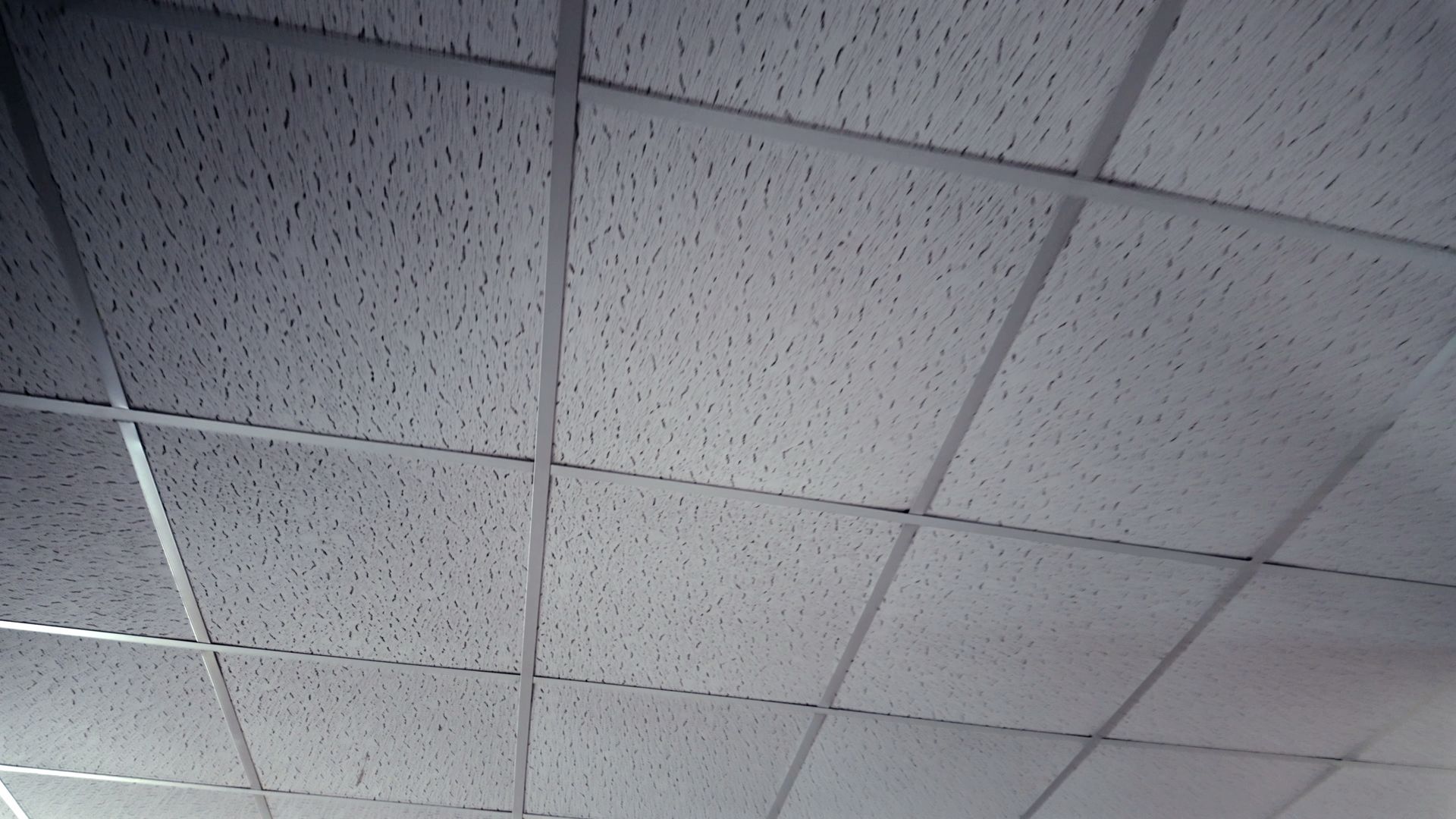 Suspended acoustic ceiling tiles installed within a metal grid system for commercial interiors.