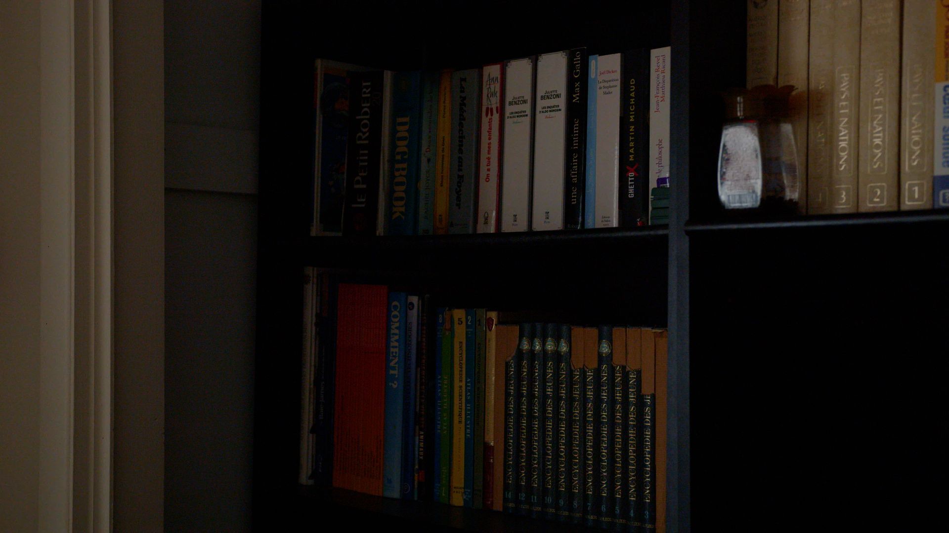 Des étagères remplies de livres de tailles et de couleurs variées. Quelques objets décoratifs sont visibles.