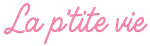 Logo Résidence La P'tite Vie inc.