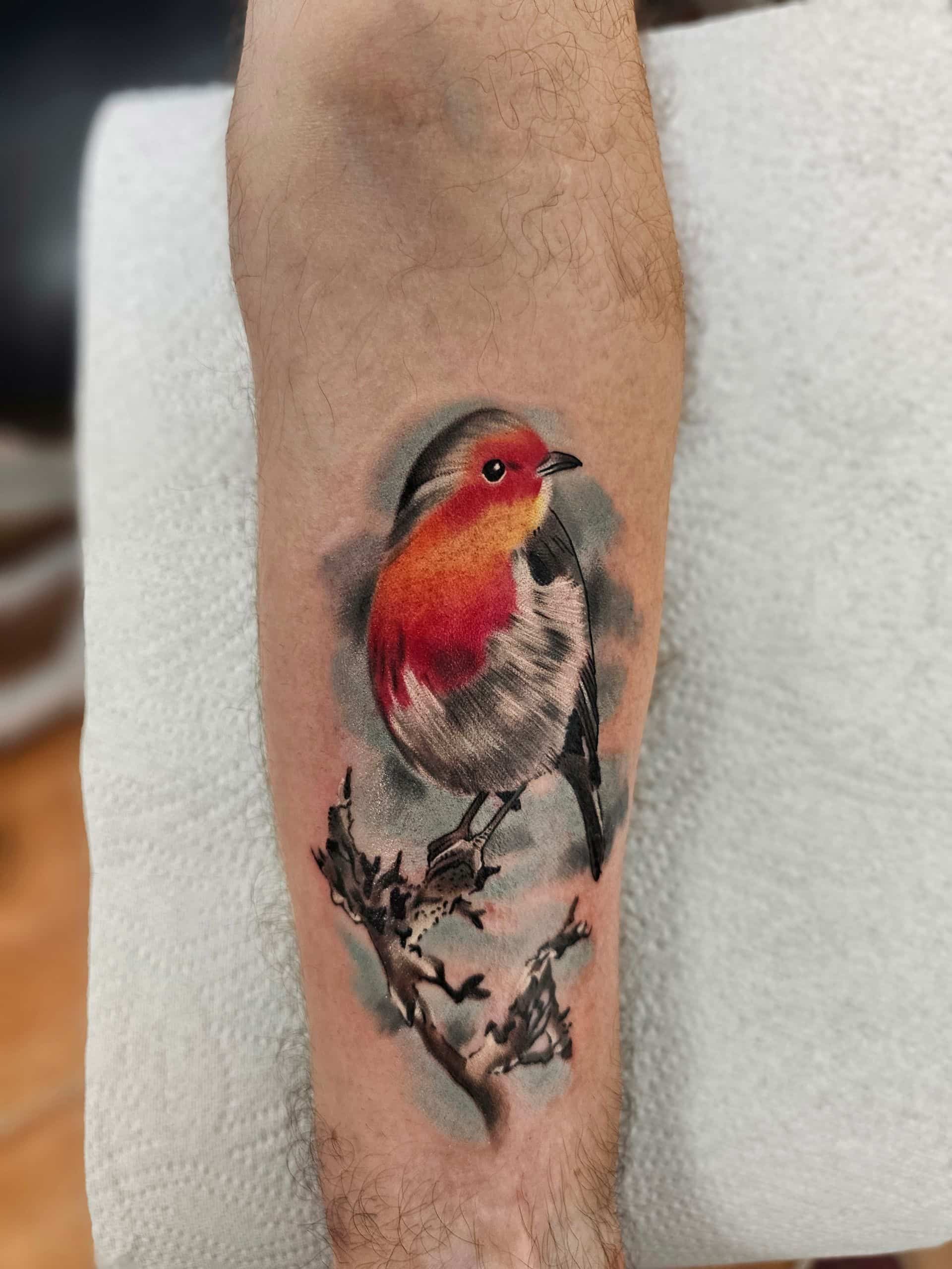 A colorful tattoo of a robin perched on a dark, textured branch on a person’s forearm.