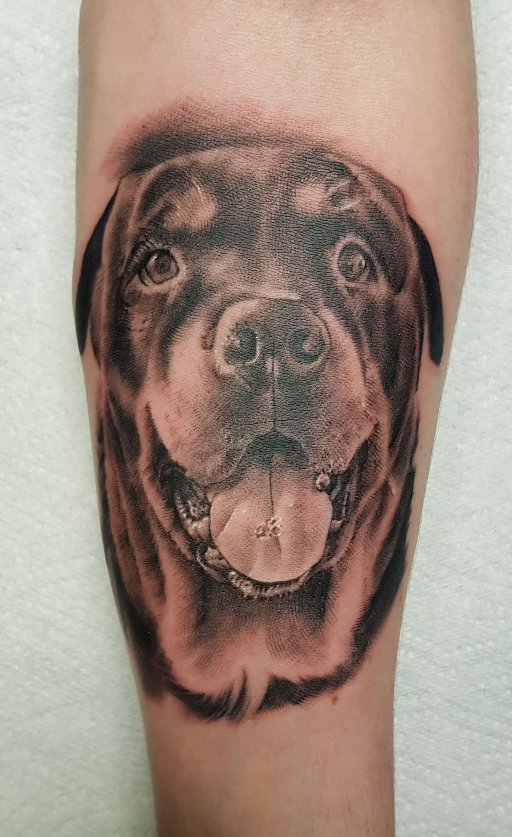 A black-and-grey tattoo of a Rottweiler's face, featuring a friendly expression with its tongue hanging out.