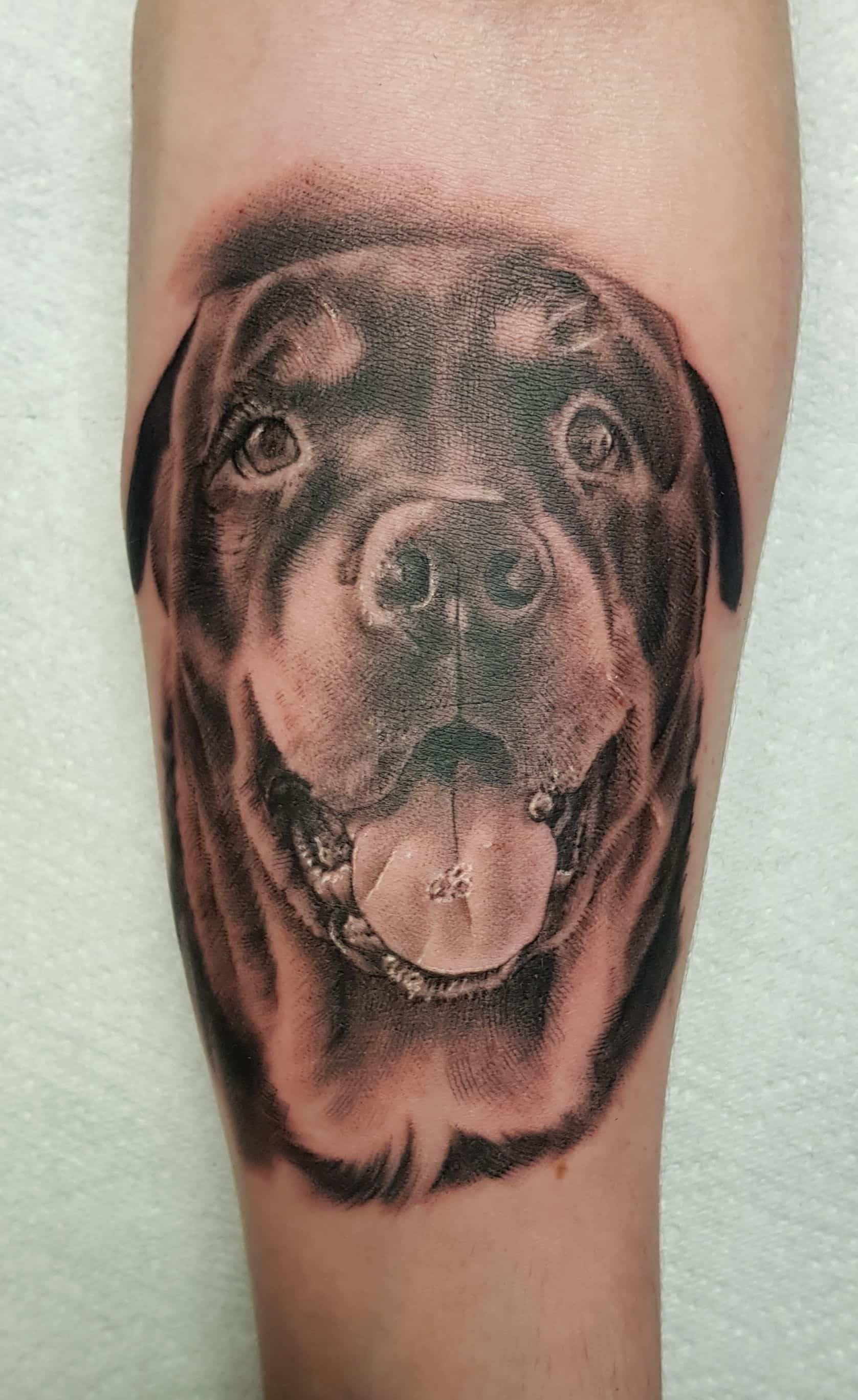 A black-and-grey realistic portrait tattoo of a Rottweiler dog's face on an arm.