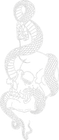 A detailed black line drawing of a snake coiled intricately around a human skull.