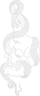 A detailed black line drawing of a snake coiled intricately around a human skull.