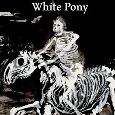 Steve Ely & Alan Parker - White Pony