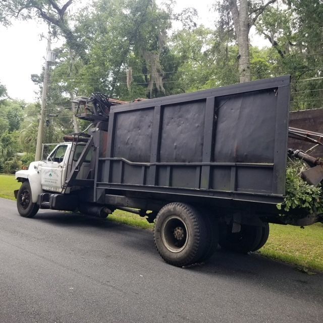 Gallery #7 – Tallahassee, FL – Affordable Tree Service By Mark Hicks