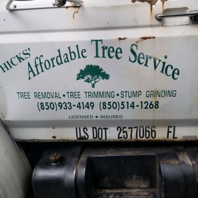 Gallery #9 – Tallahassee, FL – Affordable Tree Service By Mark Hicks