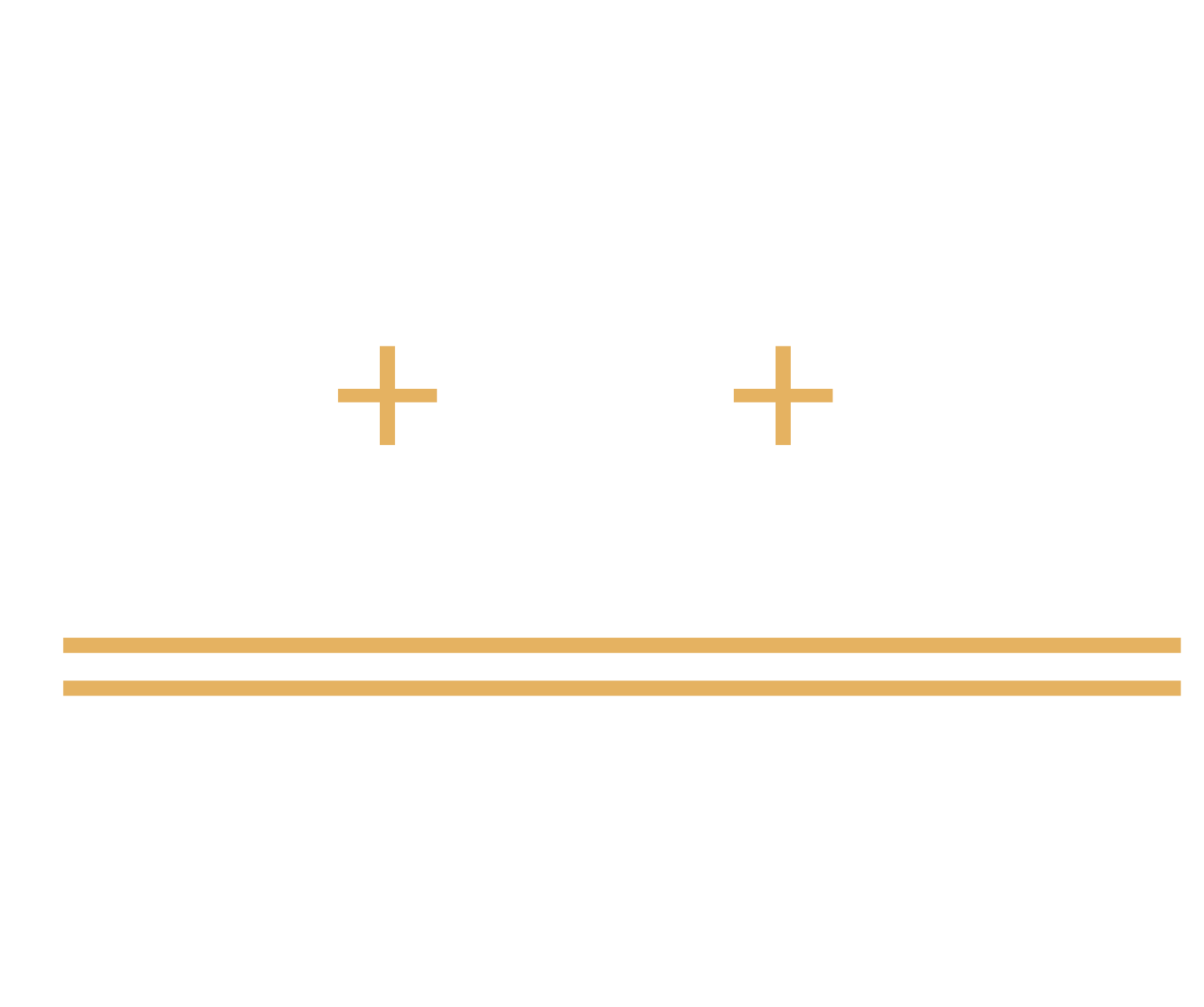 A white background with two gold lines and two crosses.