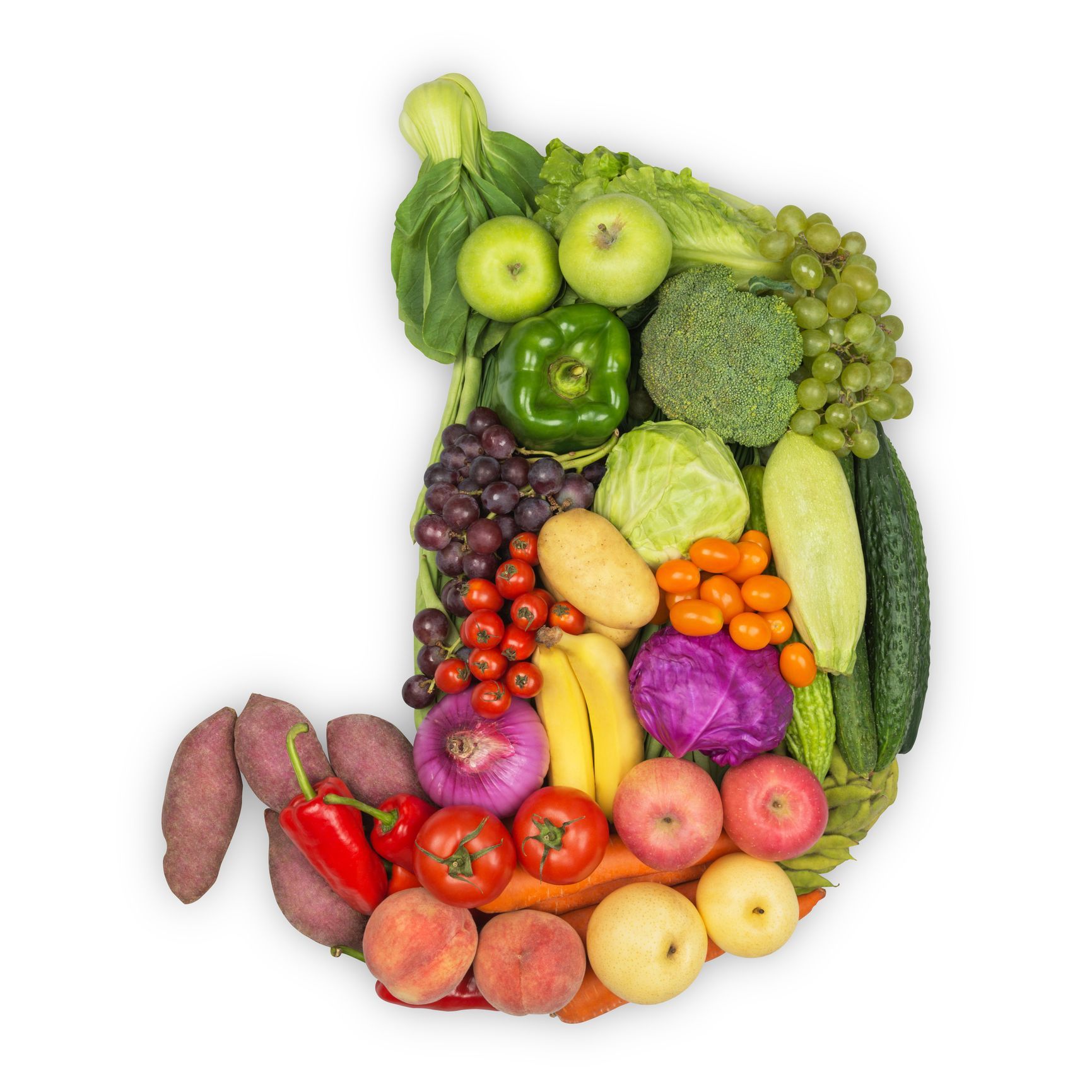 A Stomach Made of Fruits and Vegetables on a White Background — Orlando, FL — Central Florida Kidney Specialists A Stomach Made of Fruits and Vegetables on a White Background — Orlando, FL — Central Florida Kidney Specialists