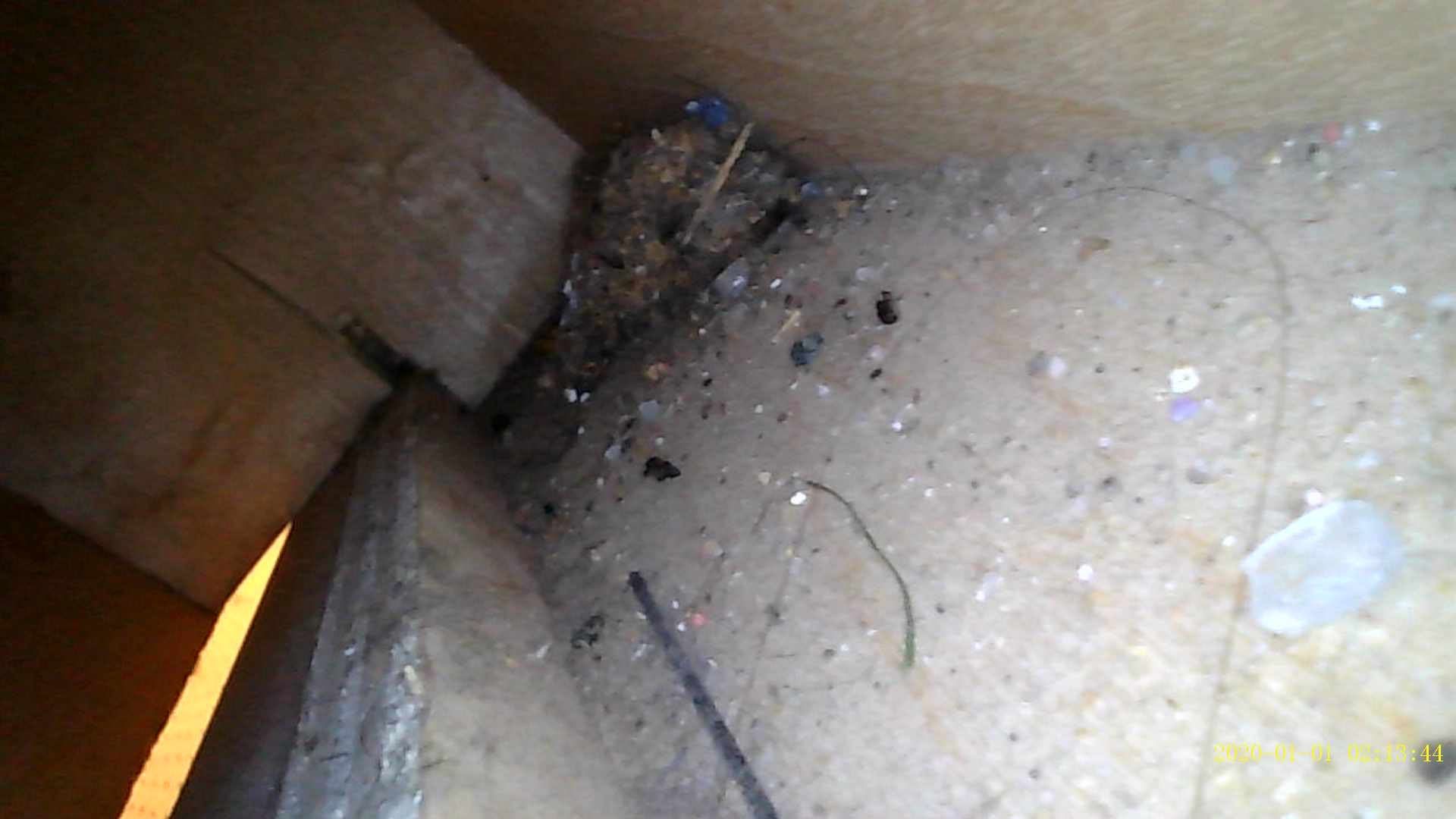 Close-up of a dirty corner with debris, a dark cable, and a small orange light in a dim space