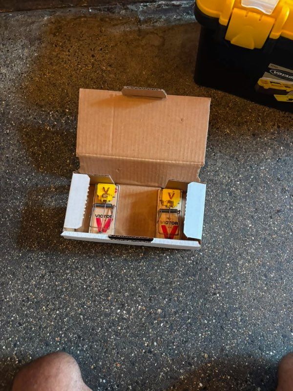 Open cardboard box on a floor holding two yellow-and-red snack packages.