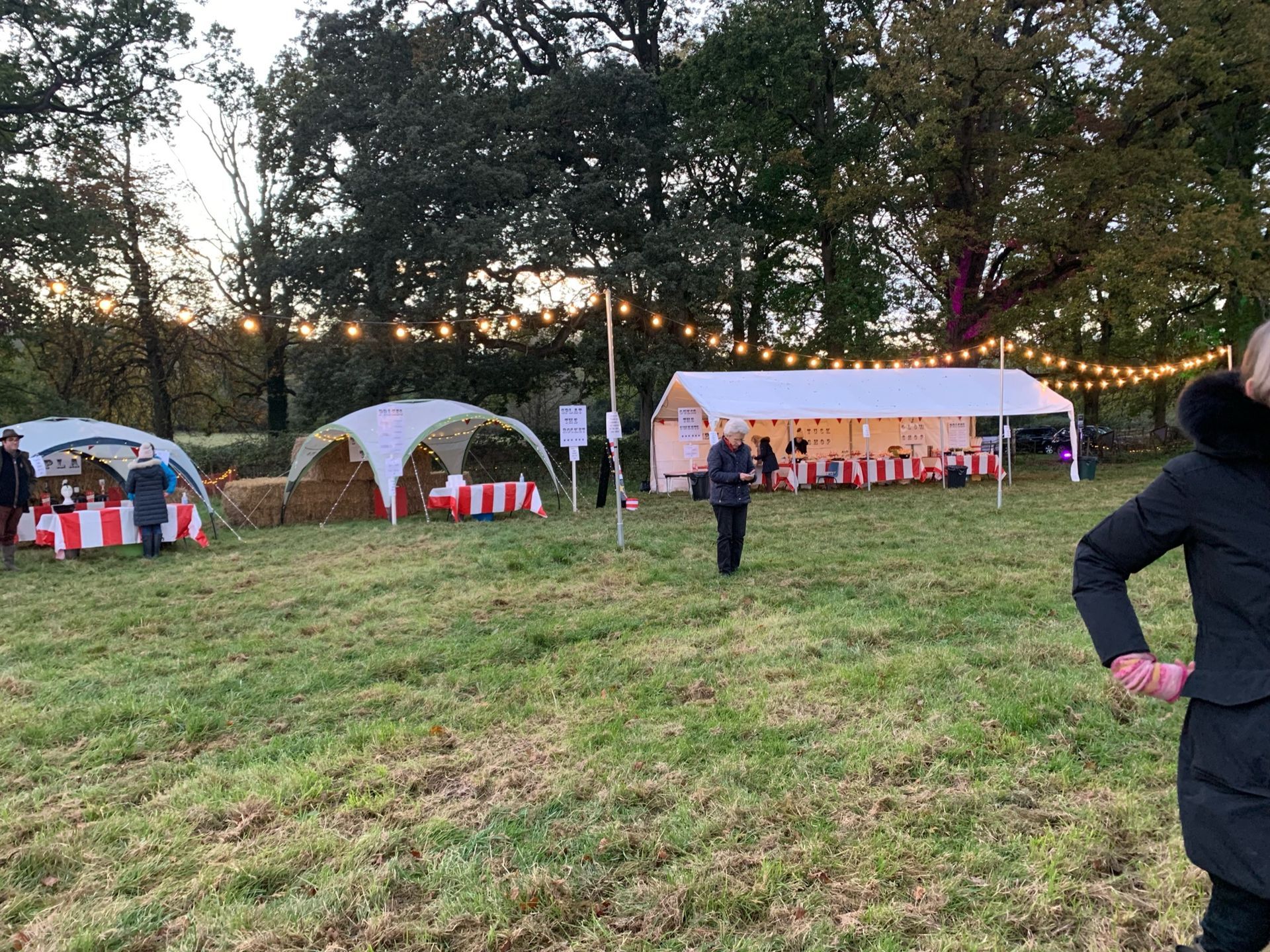 Outdoor event with tents, string lights, tables, and people on a grassy field; trees in the background.